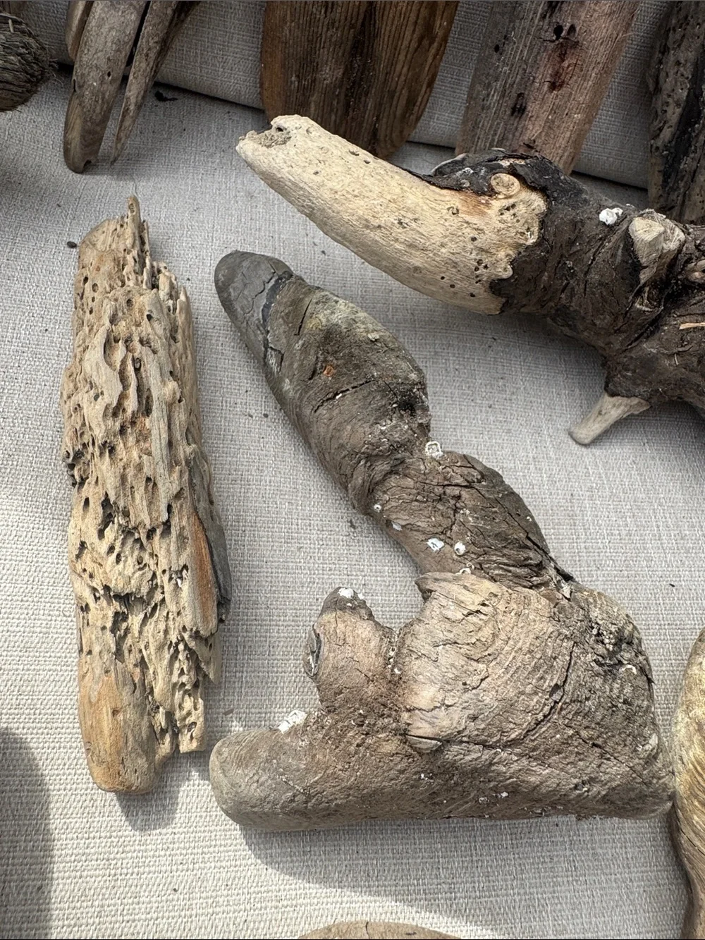 19 pc (5 lb shipped) Natural Driftwood for Craft, Projects, Upcycle& Decor